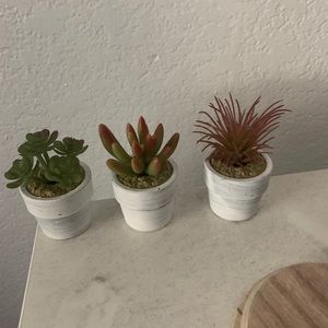 Mini plant set